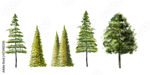 set of pine branches isolated on white background,tree side view for landscape element