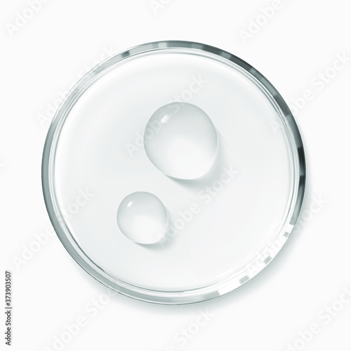 Two water drops on petri dish isolated realistic vector illustration, top view. Concept laboratory tests and research. Transparent chemistry glassware