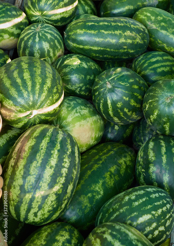 fresh watermelon on the market