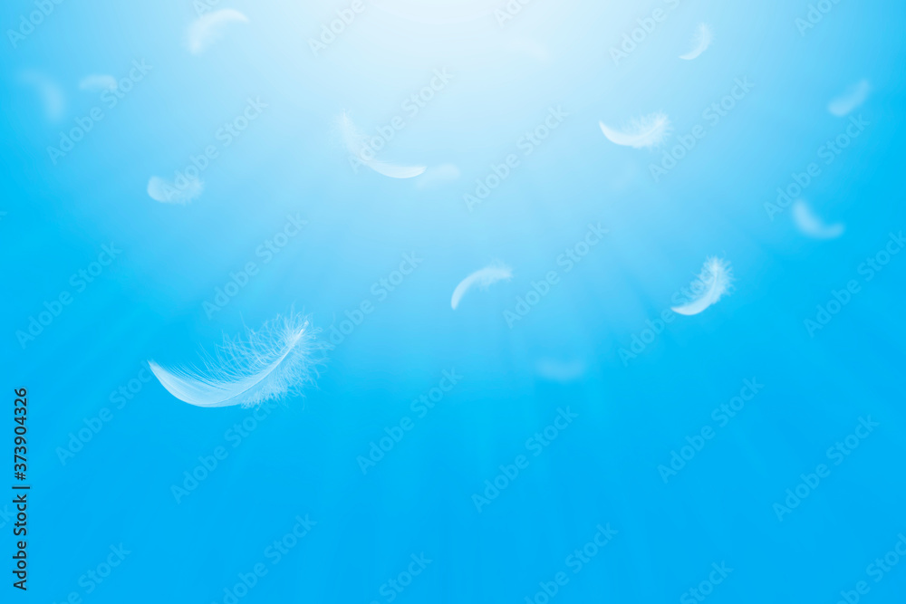Abstract, Freedom, Group of light fluffy a white feathers floating in a blue sky. Abstract, Freedom, Group of light fluffy a white feathers floating in a blue sky.