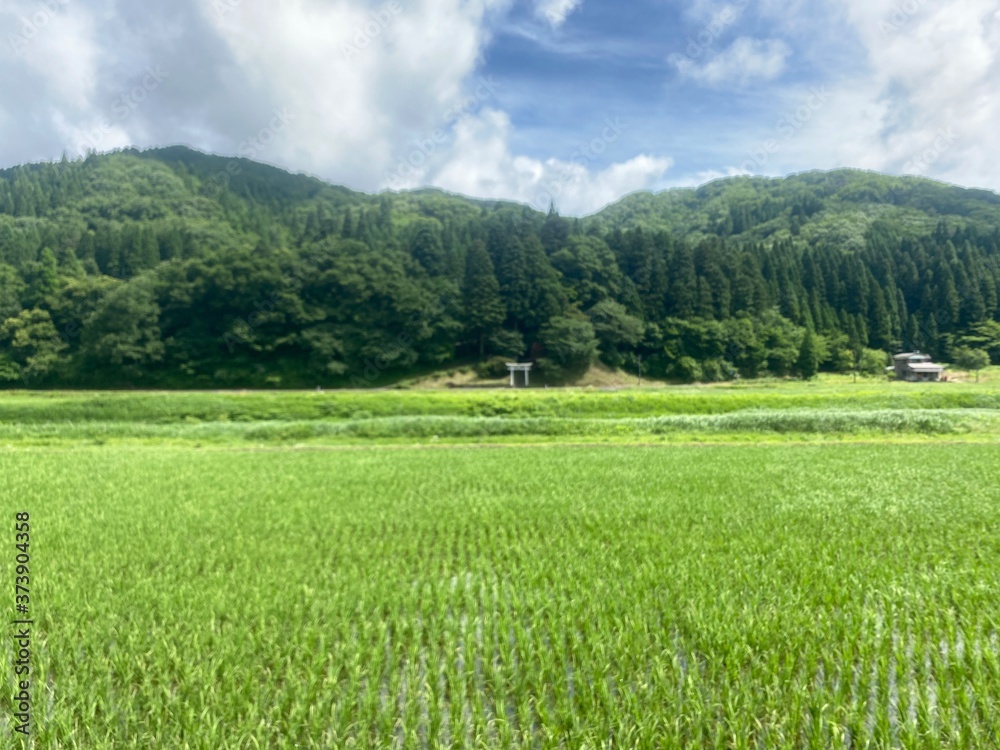 Obraz premium 山と田んぼと空 夏の田舎の風景