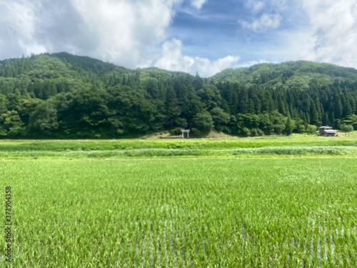 山と田んぼと空 夏の田舎の風景