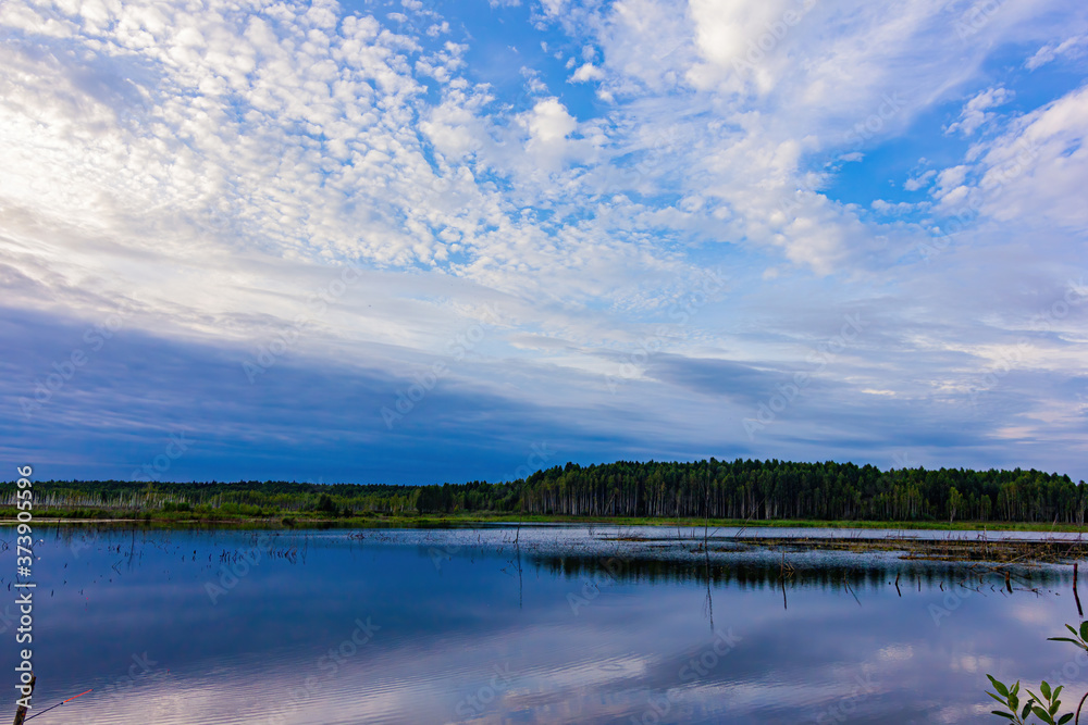 summer landscape with lake