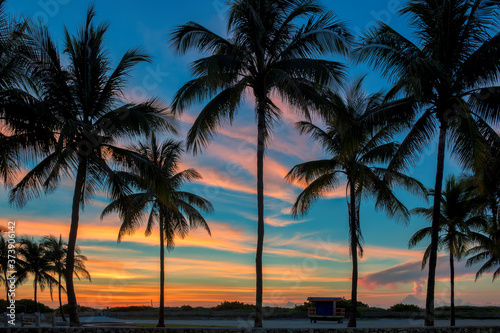 South beach with palm trees silhouette at spectacular pink sunrise in Miami Beach, Florida.  © lucky-photo
