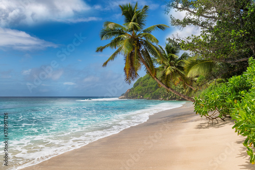 Fototapeta Naklejka Na Ścianę i Meble -  Paradise sandy beach with coco palms. Summer vacation and tropical beach concept.	