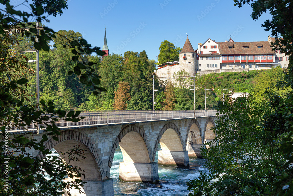 Fototapeta premium railway bridge over the Rhine