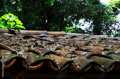 old roof