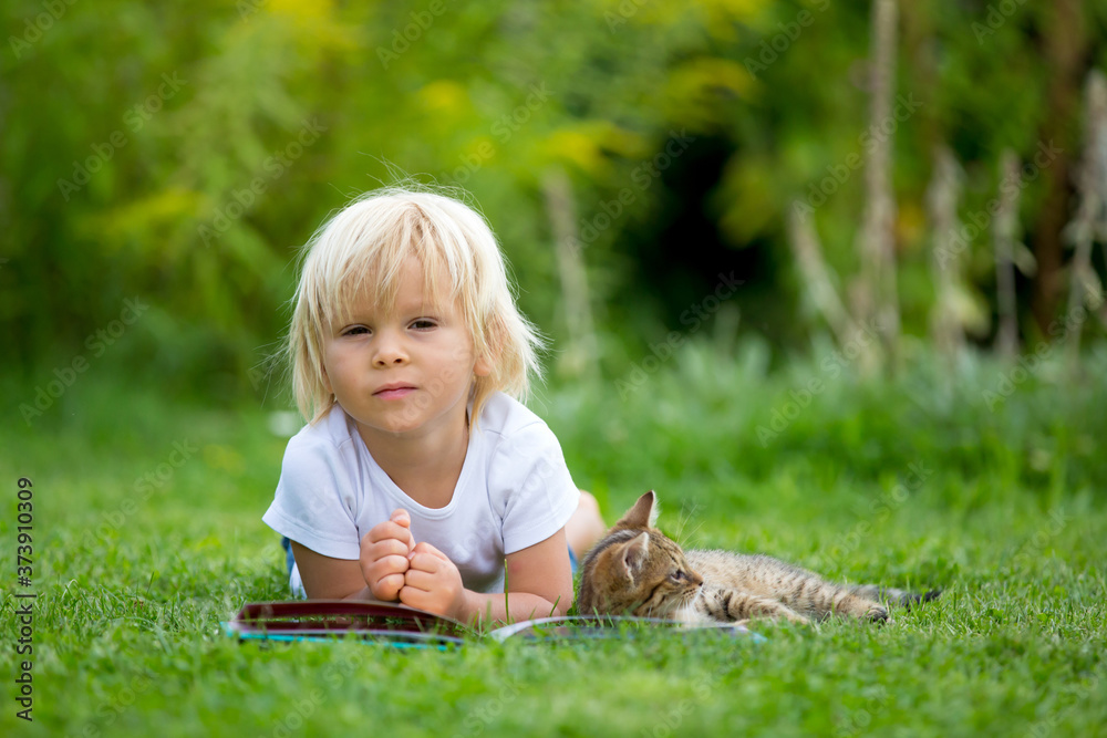 Cute blond toddler child, sweet boy, playing in garden with little kitten, reading book summertime Cute blond toddler child, sweet boy, playing in garden with little kitten, reading book summertime