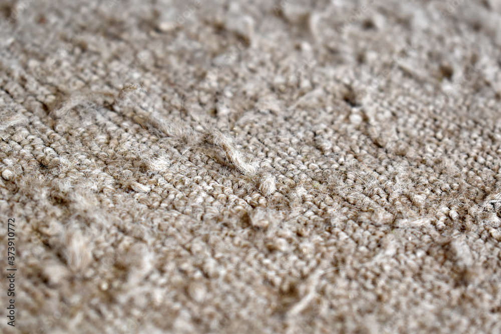 Old dirty carpet or rug with cat scratches. Selective focus. Old dirty carpet or rug with cat scratches. Selective focus.