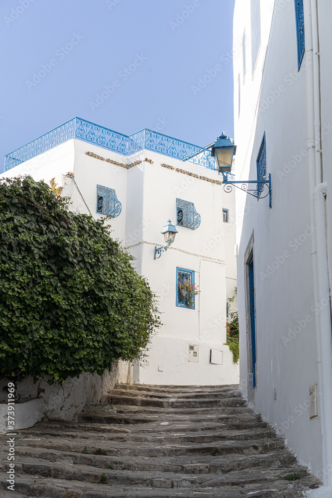 Fototapeta premium View in Sidi Bou Said ,Tunisia, North Africa