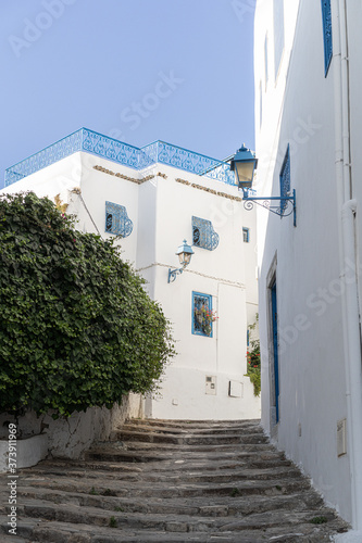 Fototapeta Naklejka Na Ścianę i Meble -  View in Sidi Bou Said ,Tunisia, North Africa