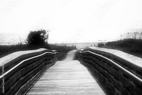 Tableau sur toile Monotone Bridge