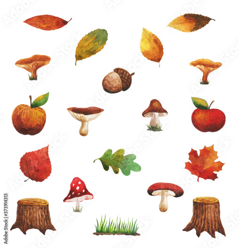 Autumn gifts of nature.