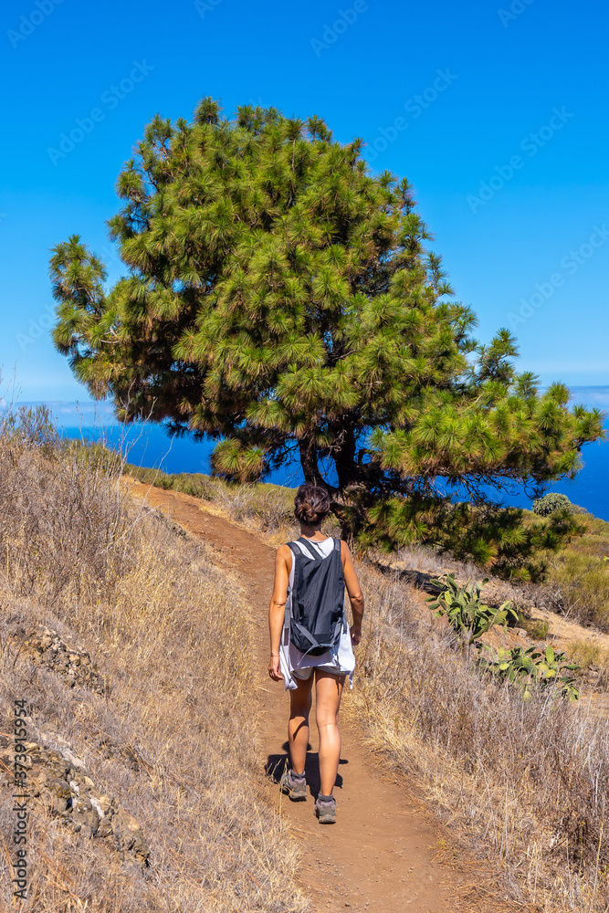 Fototapeta premium A young woman walking on the Las Tricias path in the town of Garafia in the north of the island of La Palma, Canary Islands