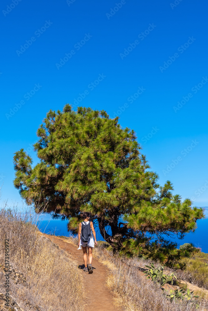 A young woman walking on the Las Tricias path in the town of Garafia in the north of the island of La Palma, Canary Islands