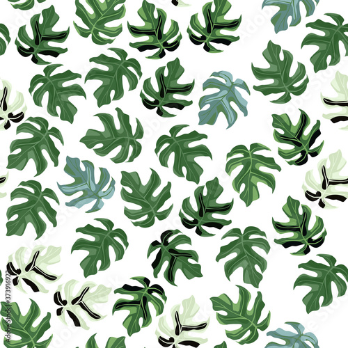 Random isolated seamless monstera leaf pattern. Little green botanic ornament on white background.