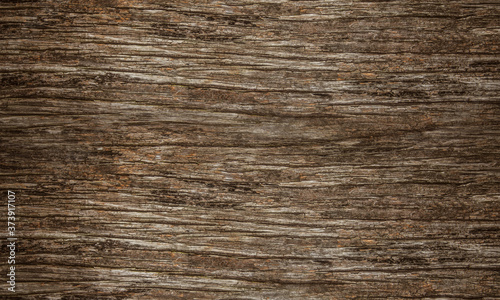 Dark brown natural tree wood background texture