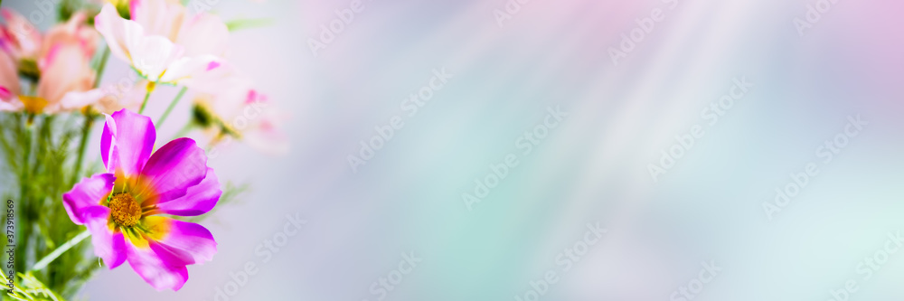 leuchtende blumen auf abstraktem hintergrund leuchtende blumen auf abstraktem hintergrund