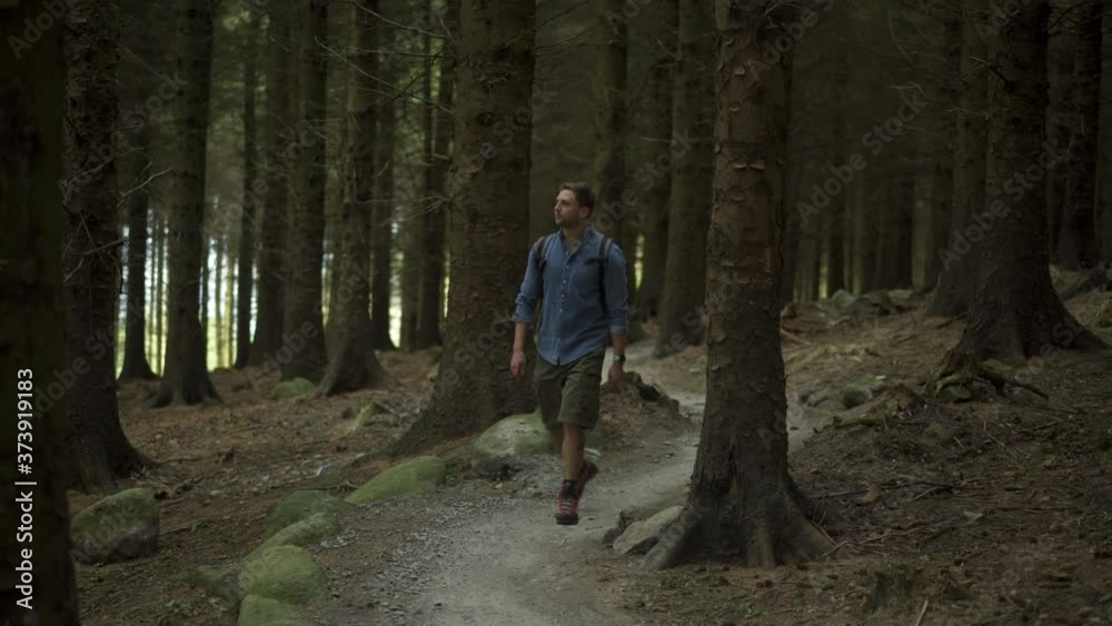 Hiker walking on hiking trail in the forest Hiker walking on hiking trail in the forest