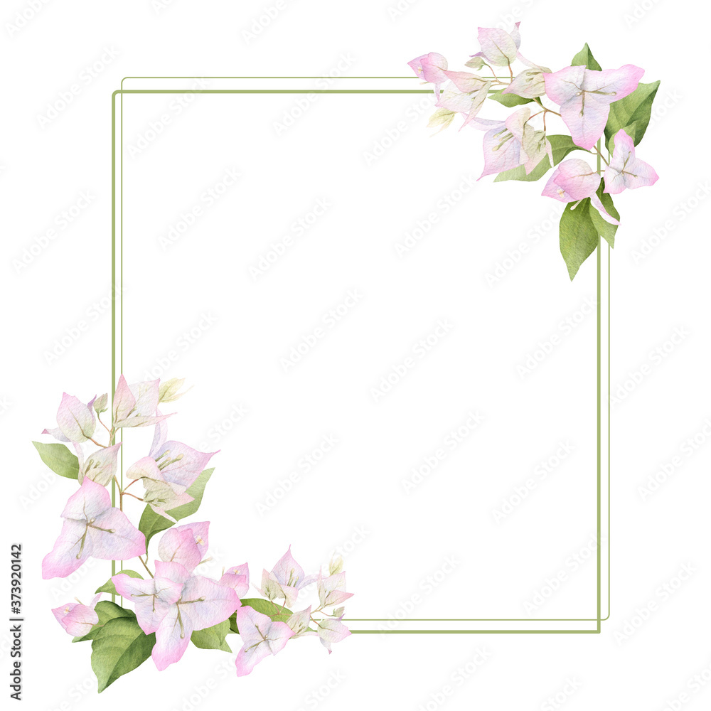 A light pink bougainvillaea frame  with green linear elements hand painted in watercolor isolated on a white background. Watercolor floral frame. Watercolor bougainvillea frame.