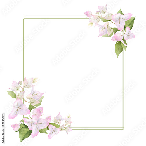 A light pink bougainvillaea frame  with green linear elements hand painted in watercolor isolated on a white background. Watercolor floral frame. Watercolor bougainvillea frame.