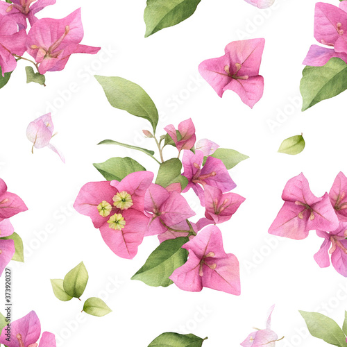 A floral seamless pattern of the pink bougainvillea and green leaves hand drawn in watercolor isolated on a white background. Watercolor floral seamless pattern. Bougainvillaea pattern photo