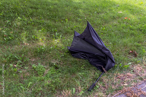 umbrella on the grass