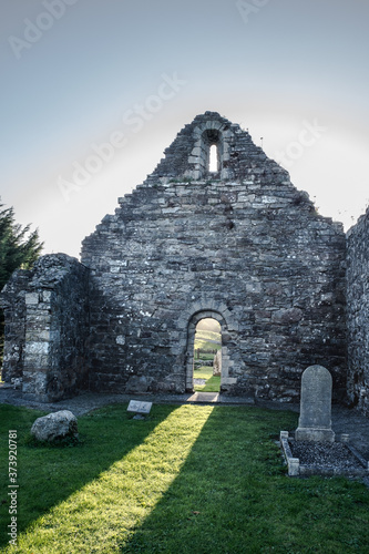 Killeshin Monastic Site .