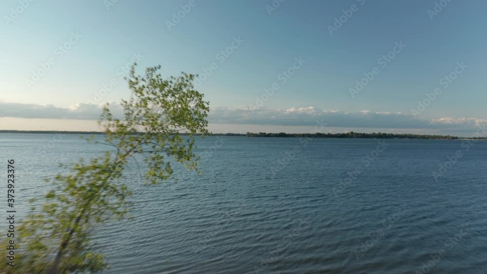 Drone passing by a lonely tree and flying over the huge Ontario lake Drone passing by a lonely tree and flying over the huge Ontario lake