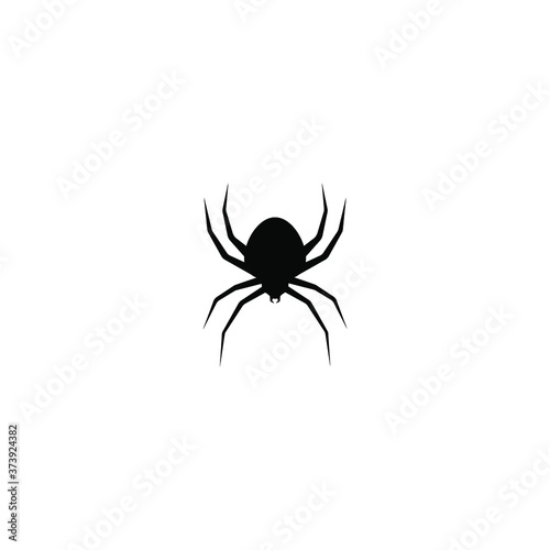 Spider icon vector isolated