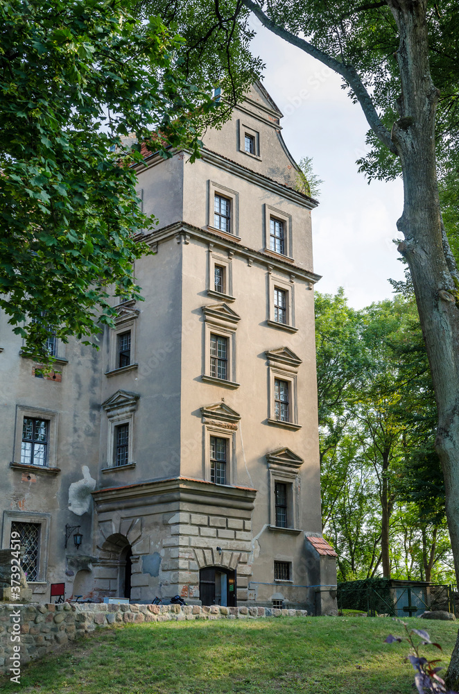 Fototapeta premium Castle in Ploty, also known as the old castle, Poland