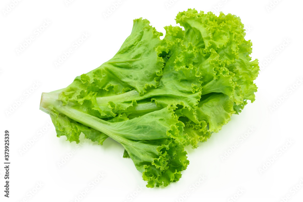 Fresh green Lettuce leaves, Salad leaf isolated on white background. Fresh green Lettuce leaves, Salad leaf isolated on white background.