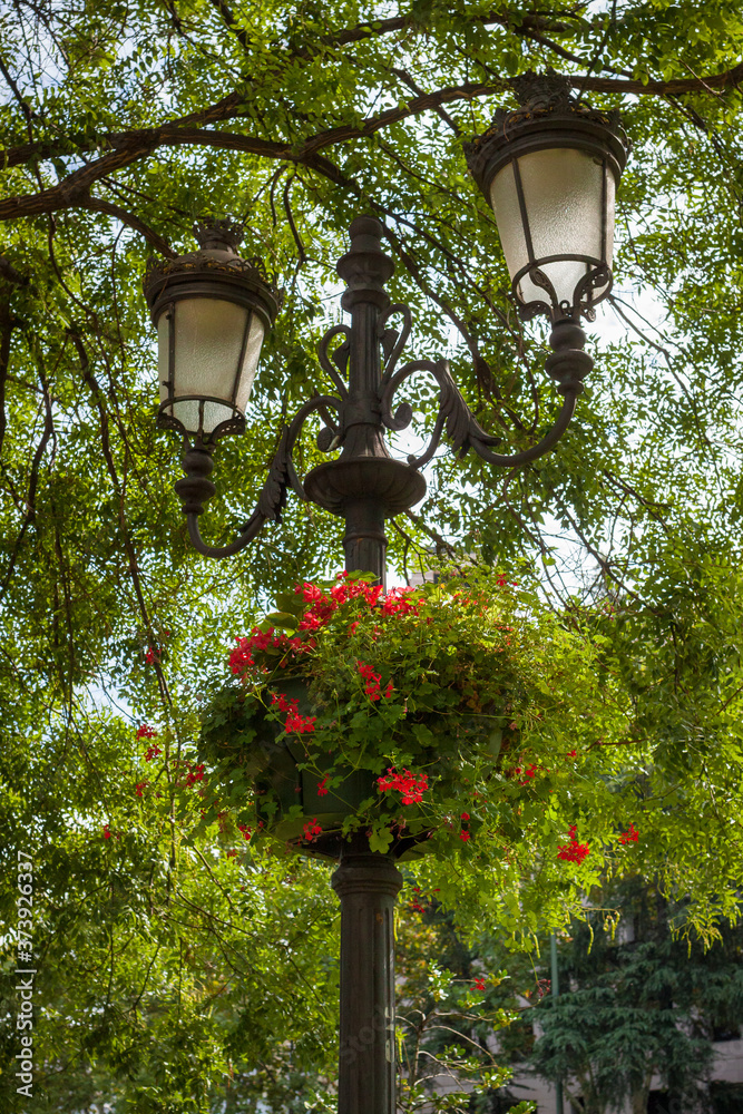 Beautiful lamp in the bushes in the streets of Madrid in Spain in autumn, September