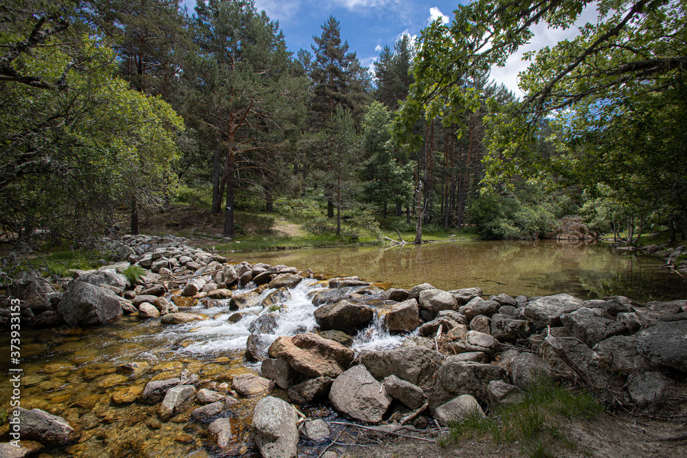 big river through green forest big river through green forest