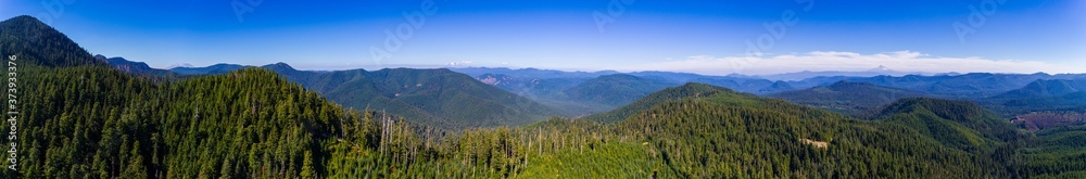 Gifford Pinchot National Forest Cascade Mountains near Mt. St. Helens Beautiful River Valley