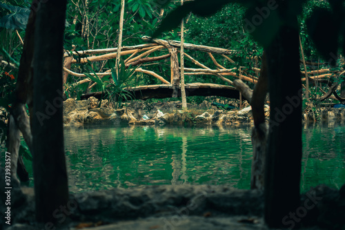 A day at the Cenote © augustodante