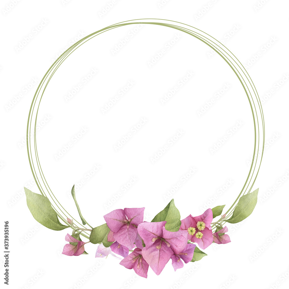 A pink bougainvillaea round frame  with green linear elements hand painted in watercolor isolated on a white background. Watercolor floral frame. Watercolor bougainvillea frame.
