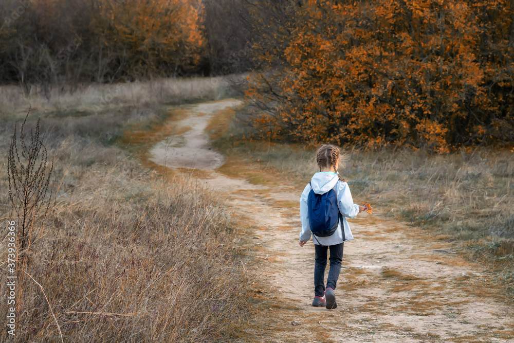 Lovely little girl walking in a colorful autumn forest. Autumn mood. Lovely little girl walking in a colorful autumn forest. Autumn mood.