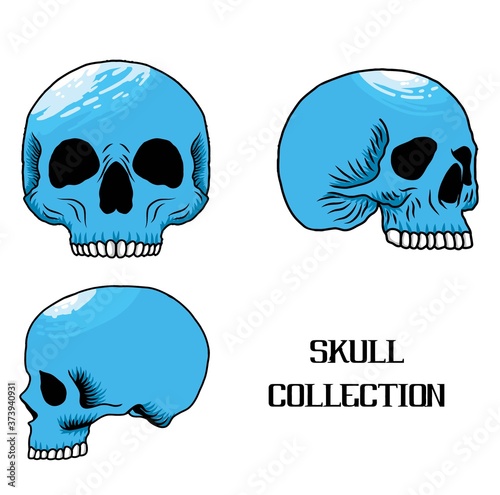 Skull collection vector