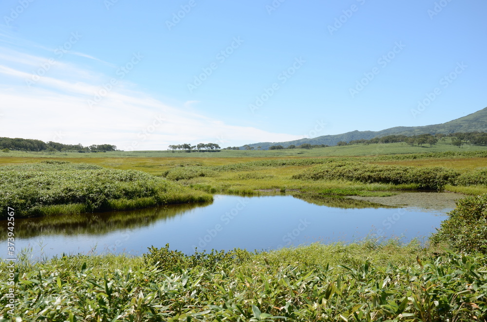 Fototapeta premium 雨竜沼高原の風景
