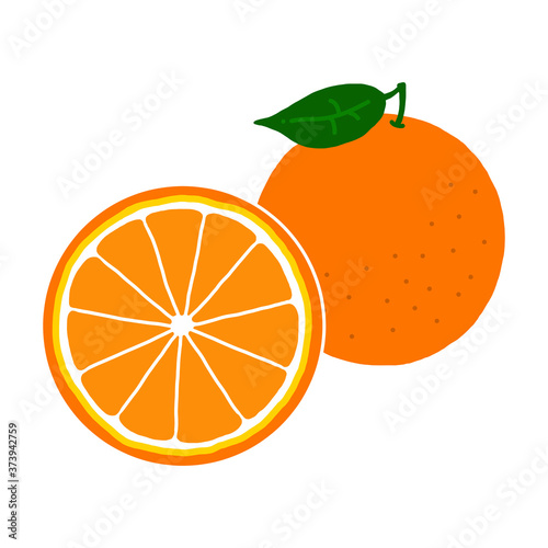 オレンジの手描きイラストアイコン orange flat illustration vector icon