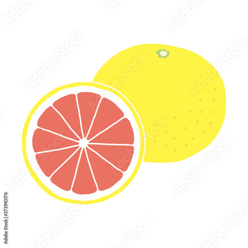 グレープフルーツの手描きイラストアイコン grapefruit flat illustration vector icon