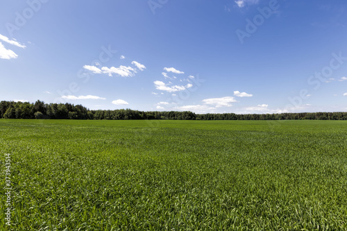 an agricultural field