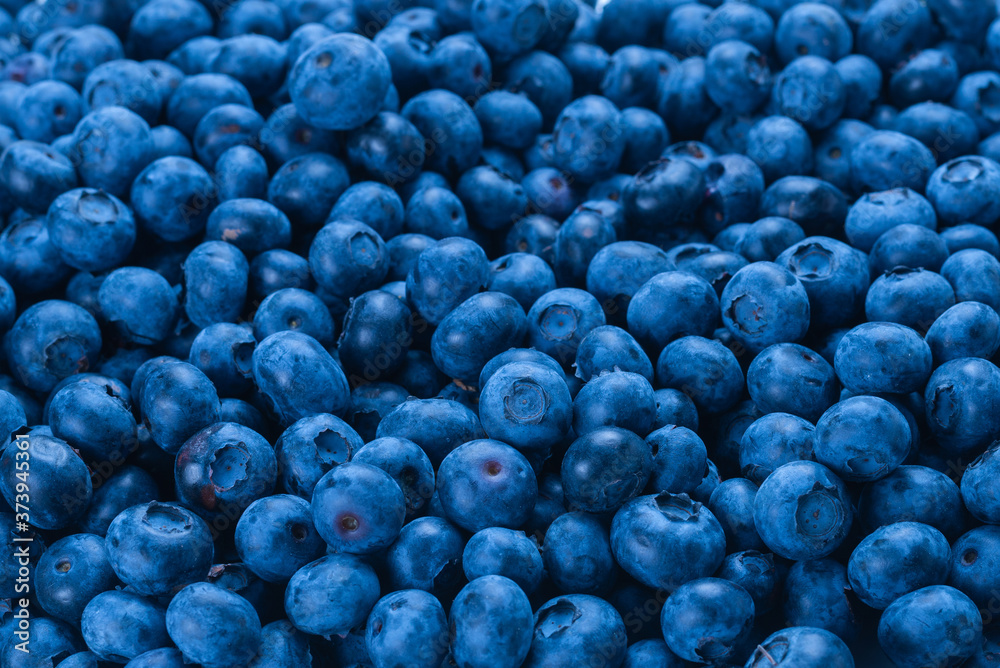 Fresh blueberry background. Fresh blueberry background.