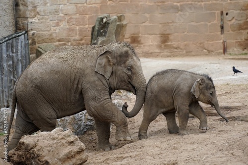 Give me a push mum