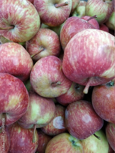 Photography Indian Apple stock photos