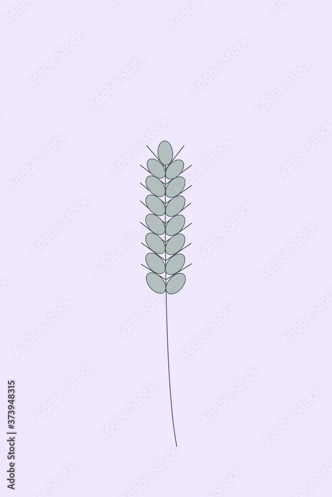 Ear of wheat. Autumn harvest. Harvesting. Vector Ear of wheat. Autumn harvest. Harvesting. Vector