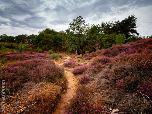 Mookerheide NL photo