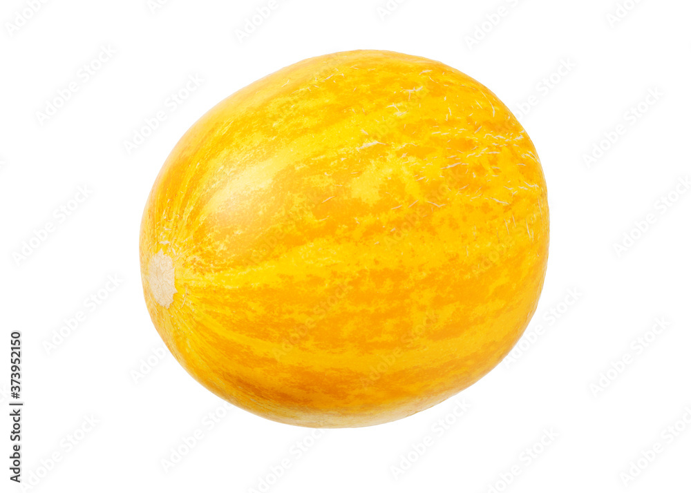 One fresh melon isolated on a white background One fresh melon isolated on a white background