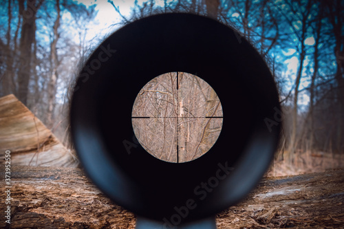 Sniper gun scope view. Hunting in the forest.